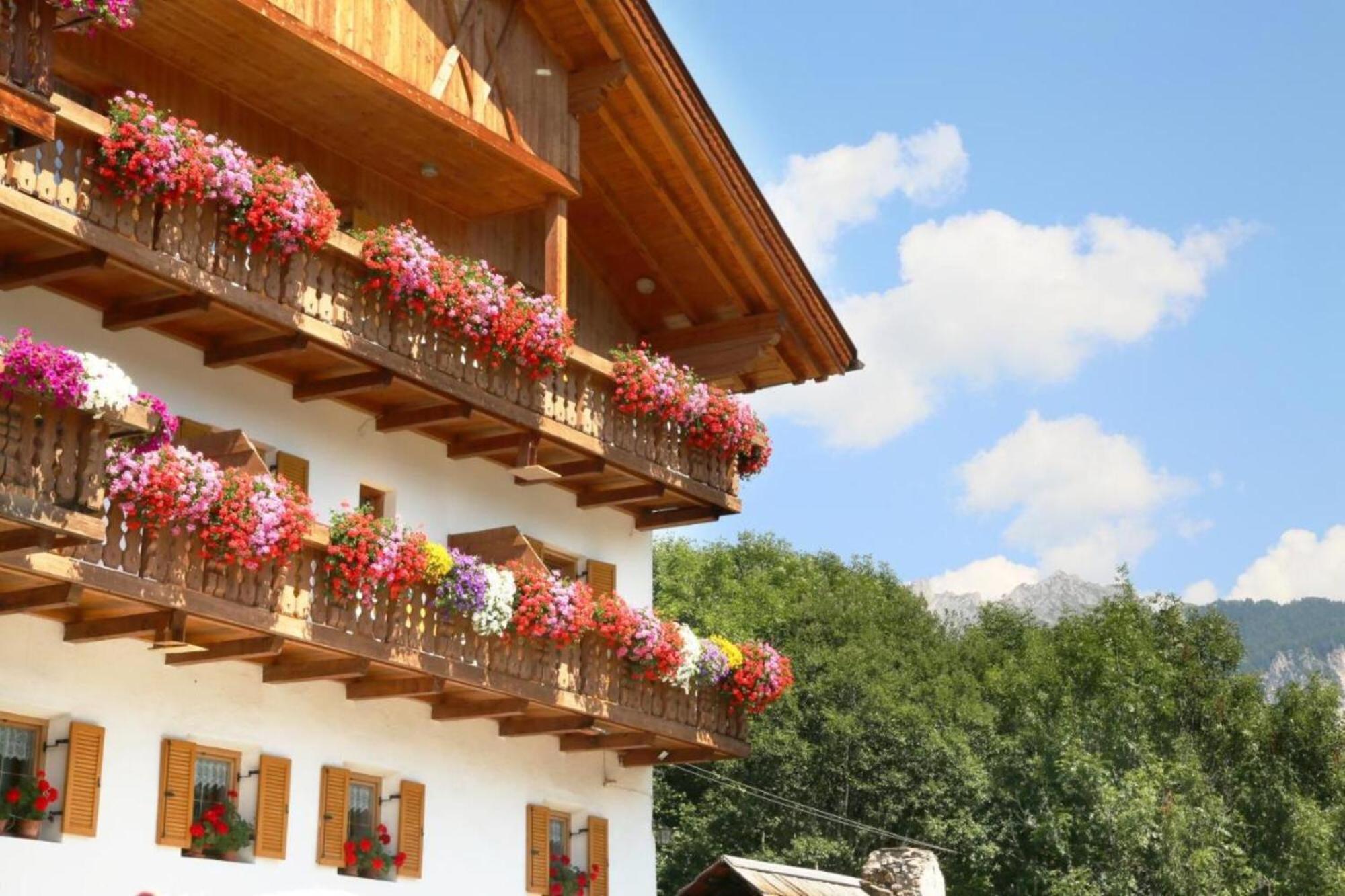 Bed and Breakfast Veltierhof Villnöss Exterior foto